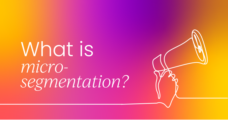 What is micro-segmentation in marketing?